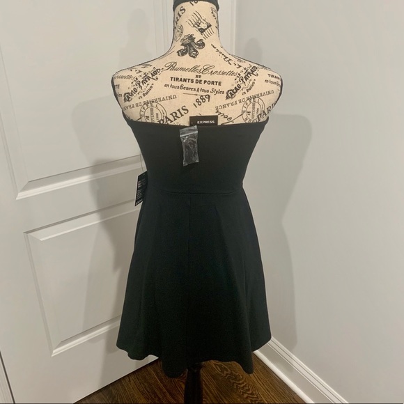Express Dress (Medium) - Picture 3 of 6